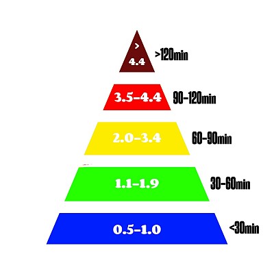 THLA负担金字塔图